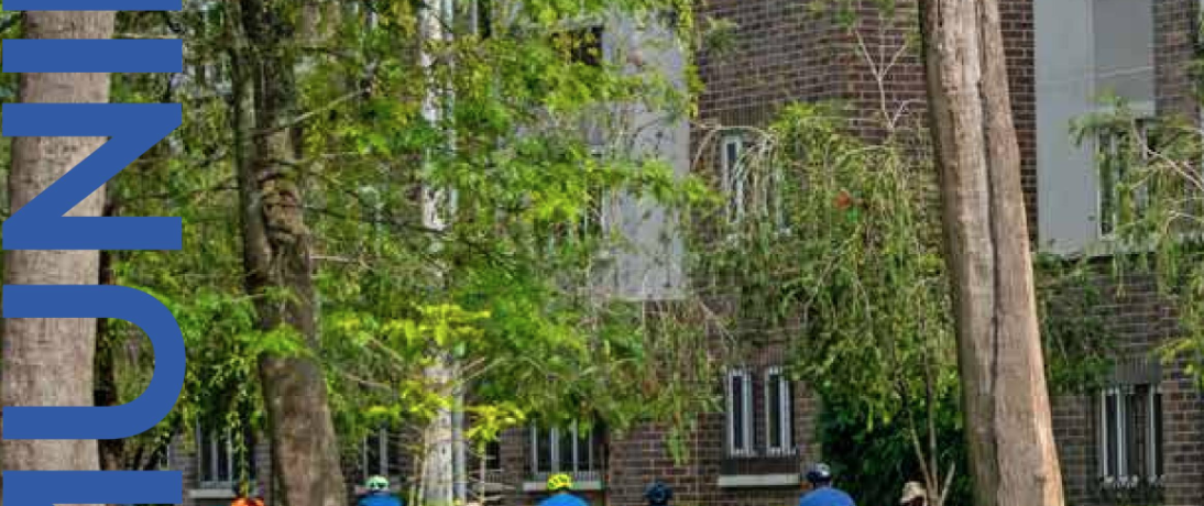 Revista Condado Naranjo